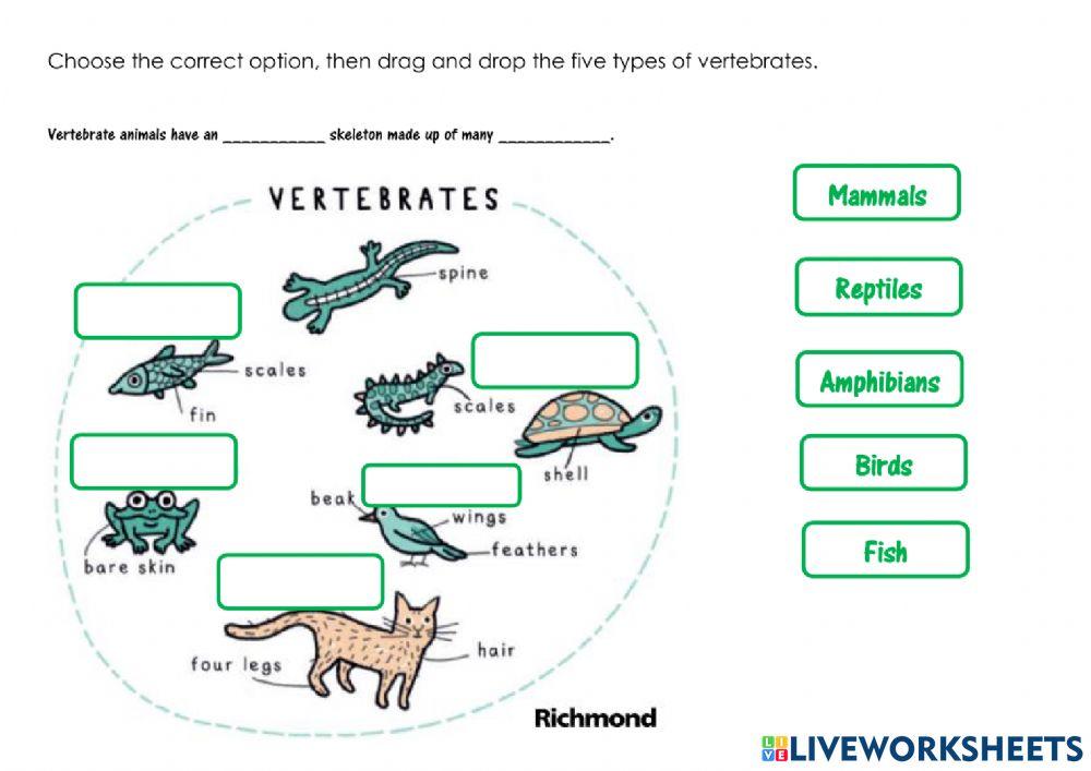 Vertebrate animals