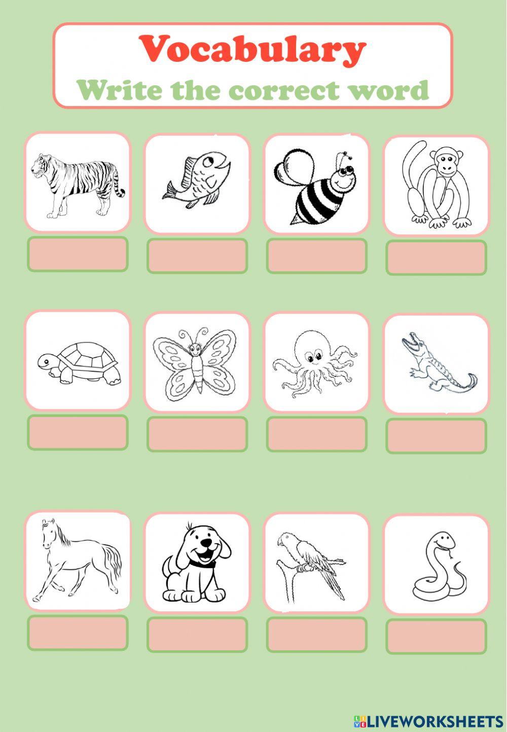Vocabulary animals Vocabulary animals