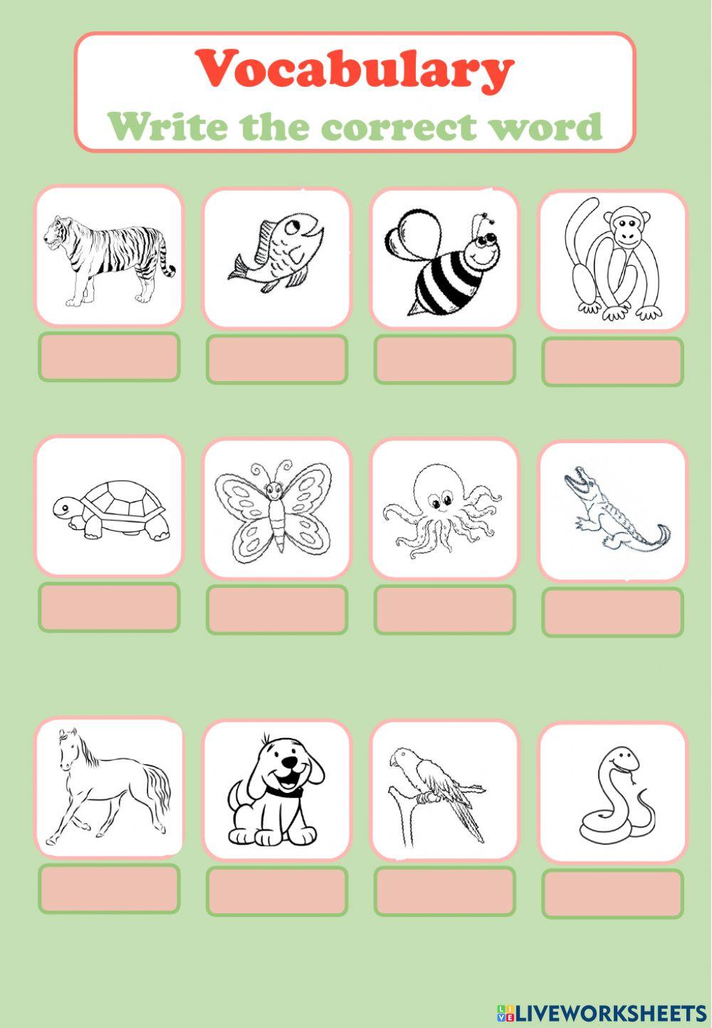 Vocabulary animals