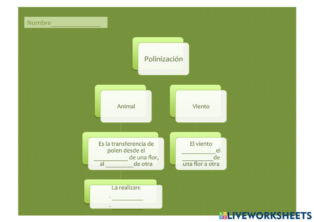 Polinización Completar