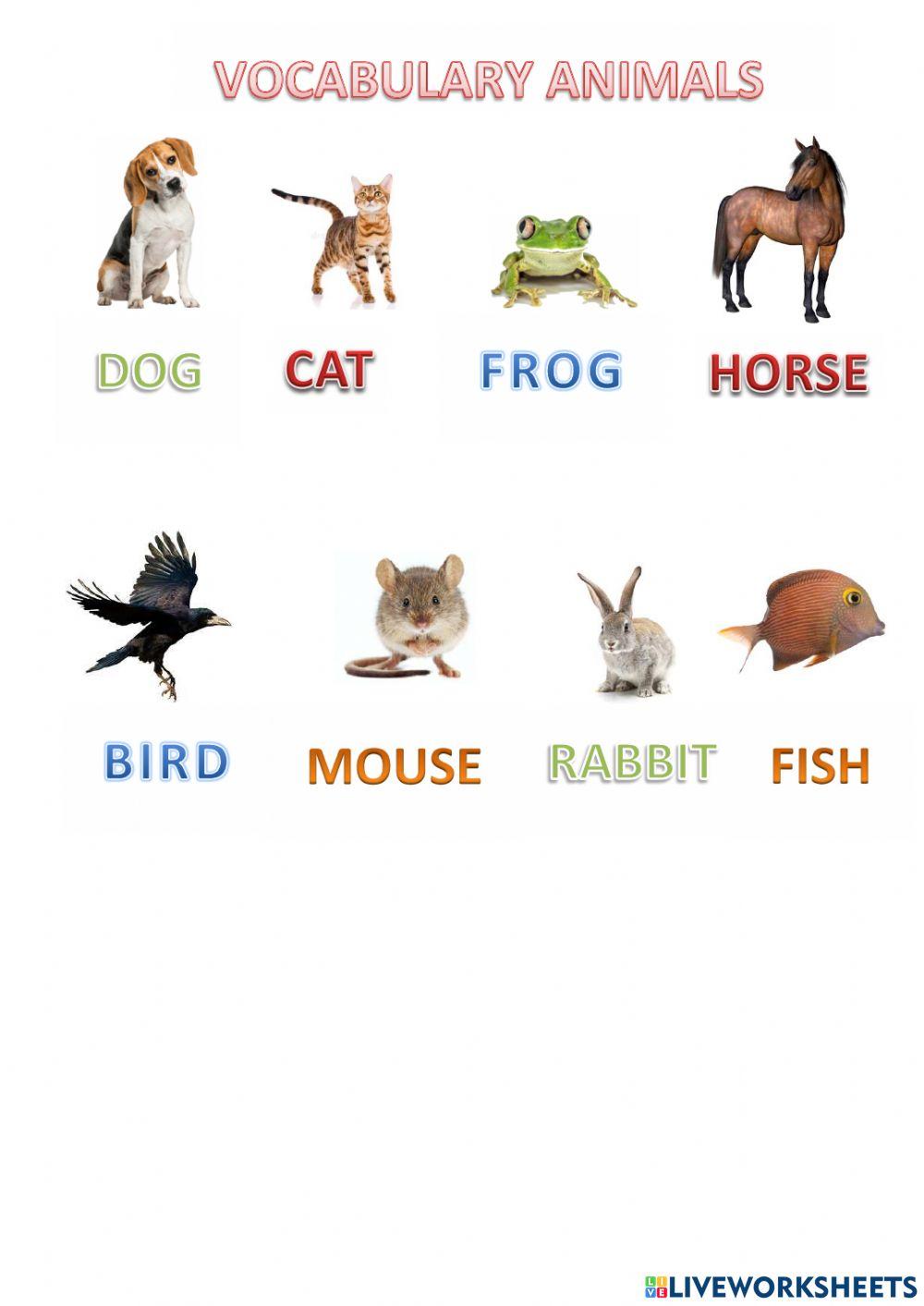 Animals