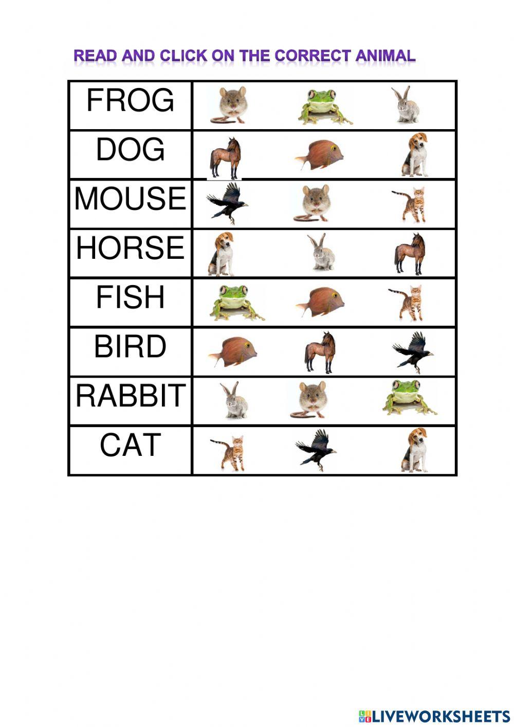 Animals Animals