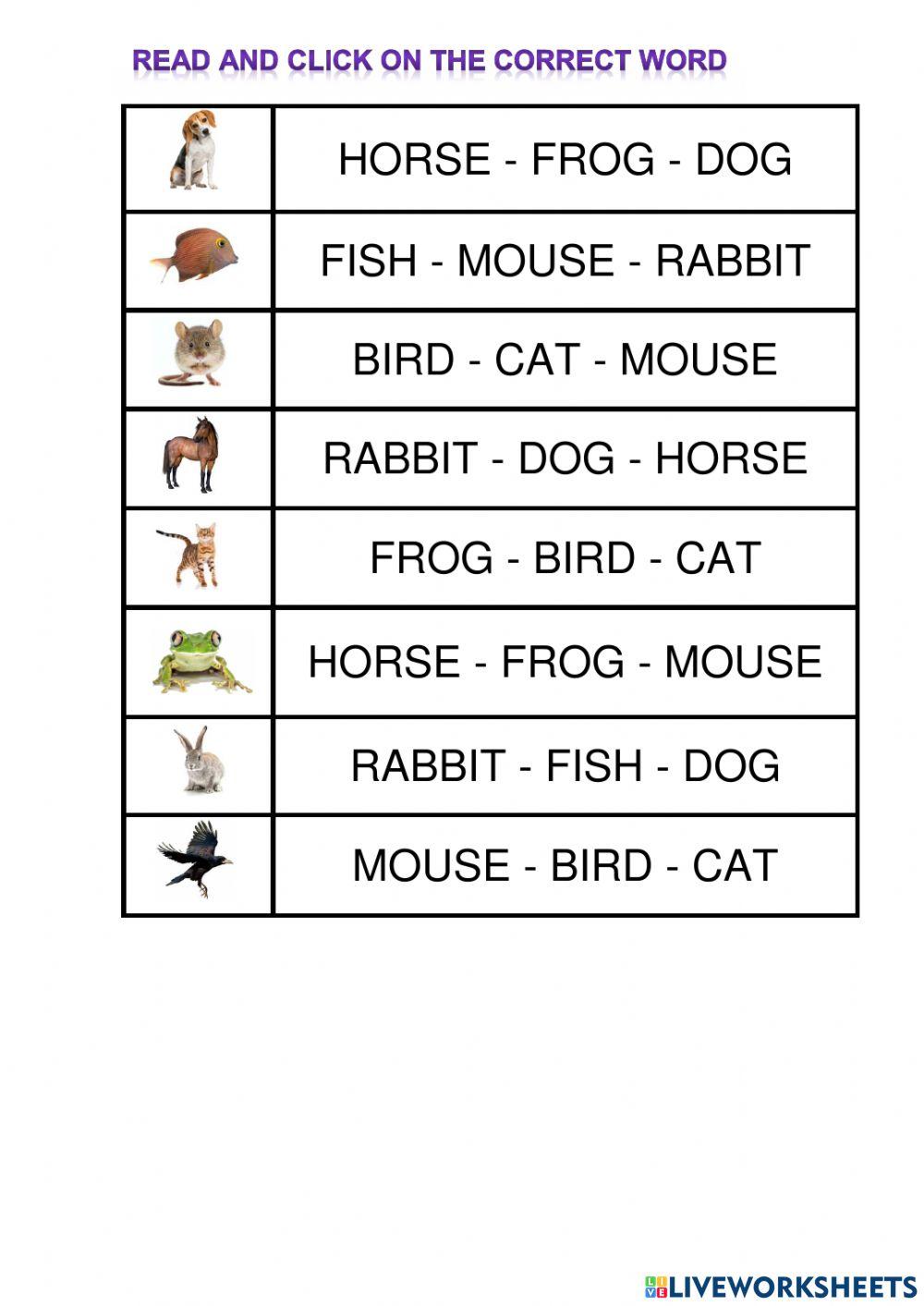 Animals Animals