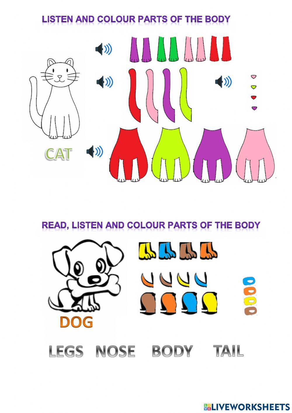 Animals Animals