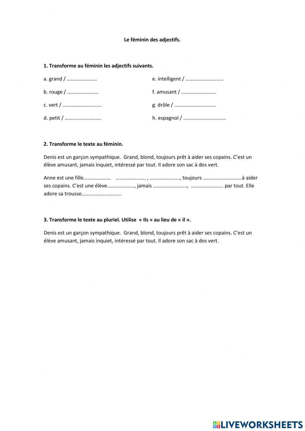 Le féminin des adjectifs