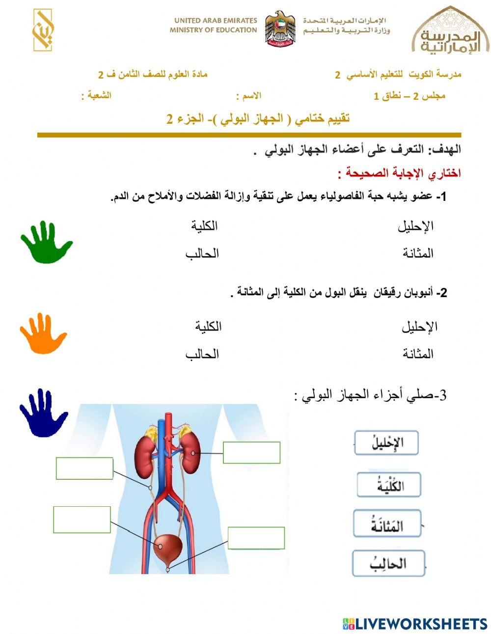 الجهاز الاخراجي الجزء الثاني