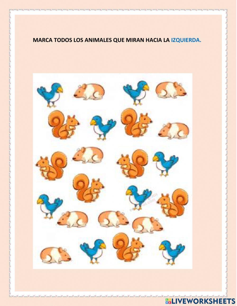 Derecha Izquierda 13