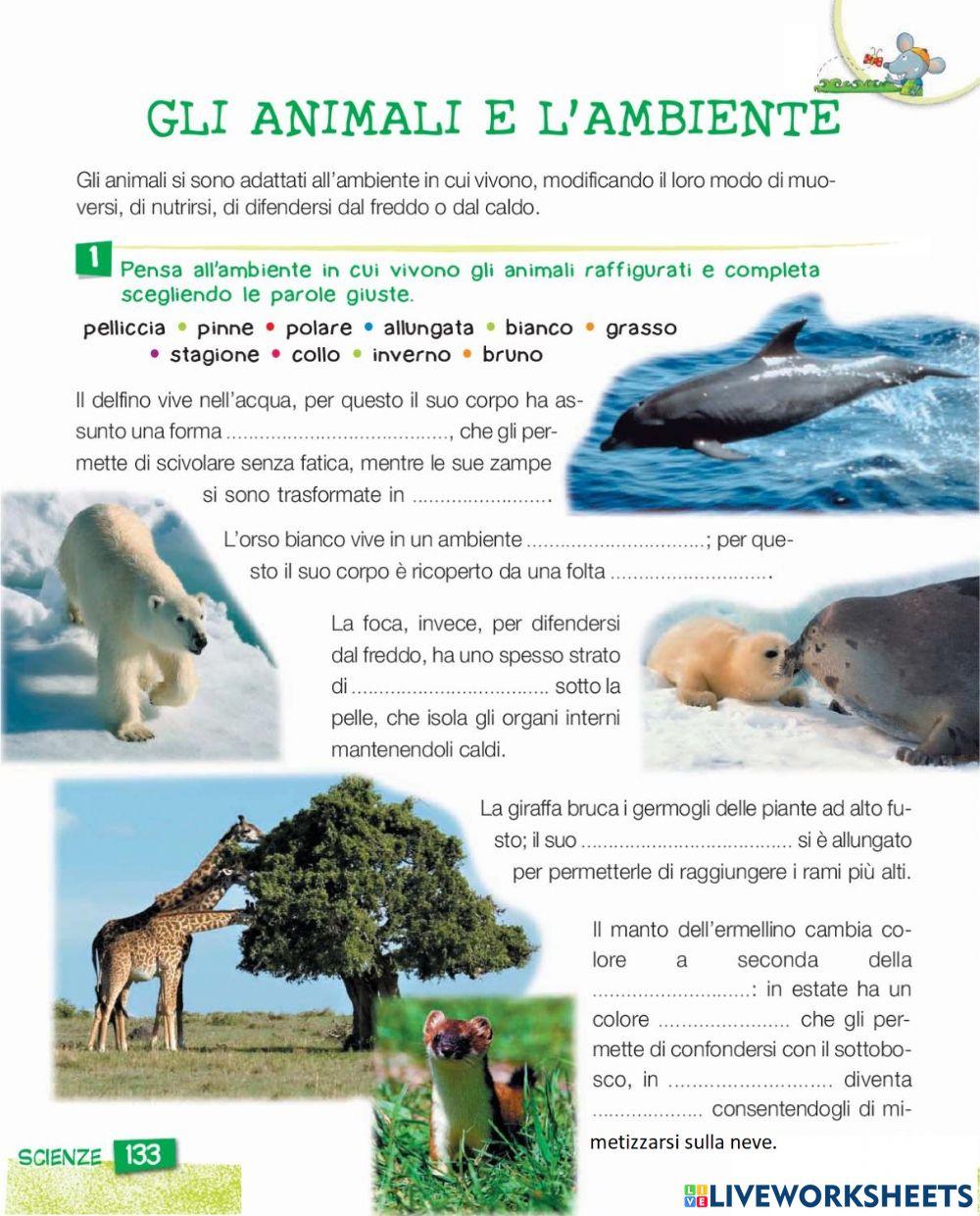 Gli animali e l'ambiente
