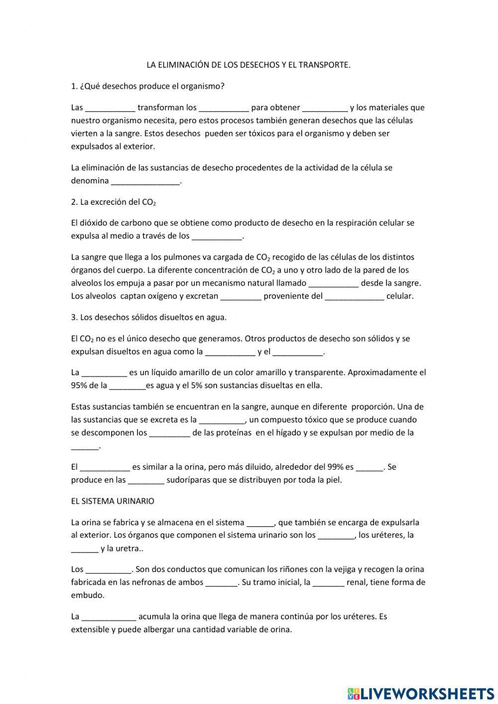 Circulatorio y urinario