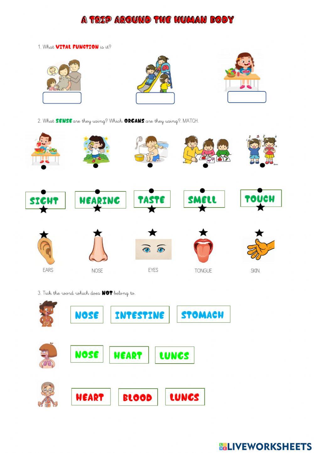 A trip around human body