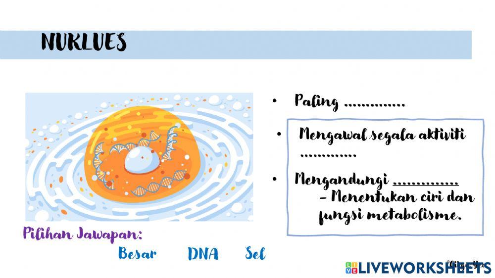 2.1 struktur dan fungsi sel