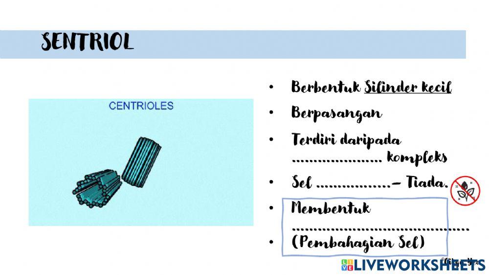 2.1 struktur dan fungsi sel