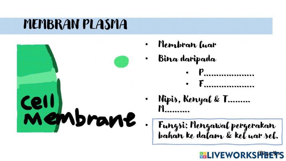 2.1 struktur dan fungsi sel