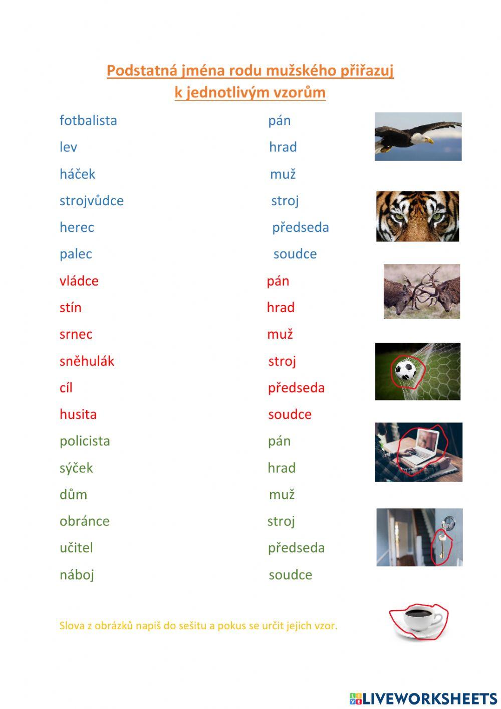 Vzory rodu mužského