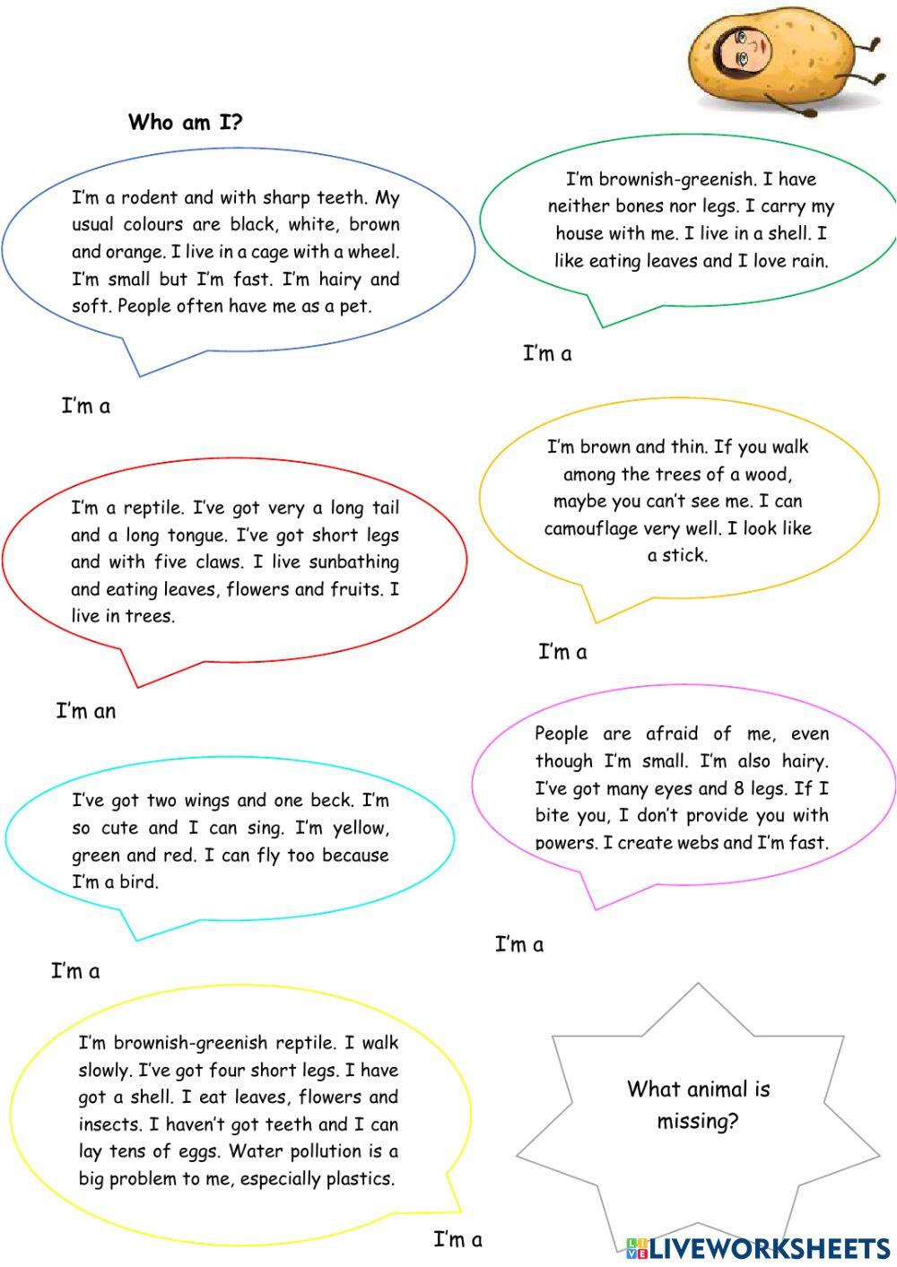 Insects descriptions