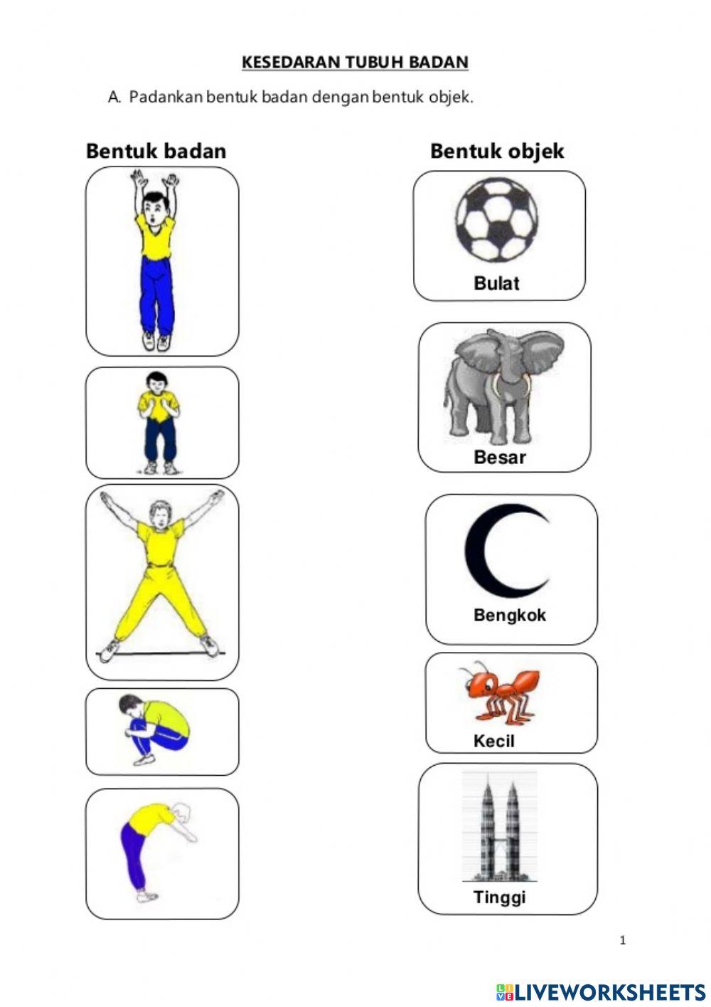 Kesedaran Tubuh Badan