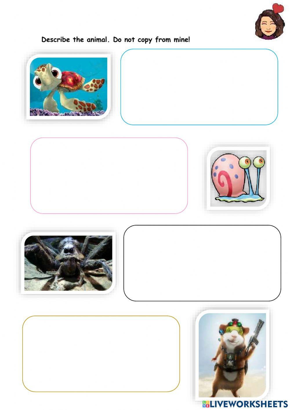 Insects descriptions