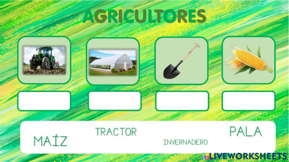 Vocabulario profesiones