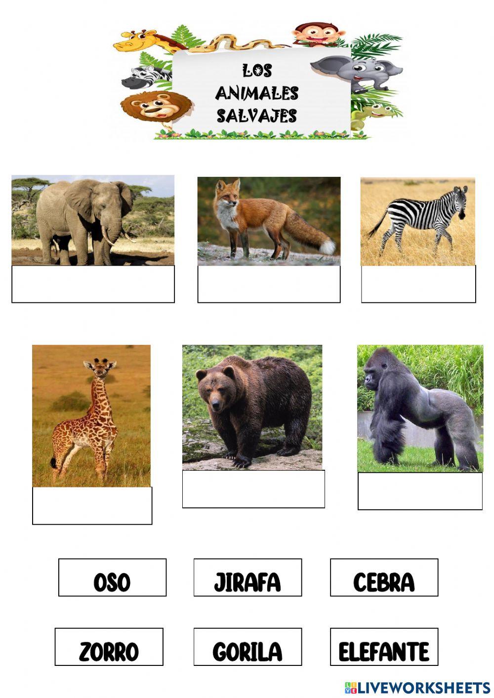 Los animales salvajes