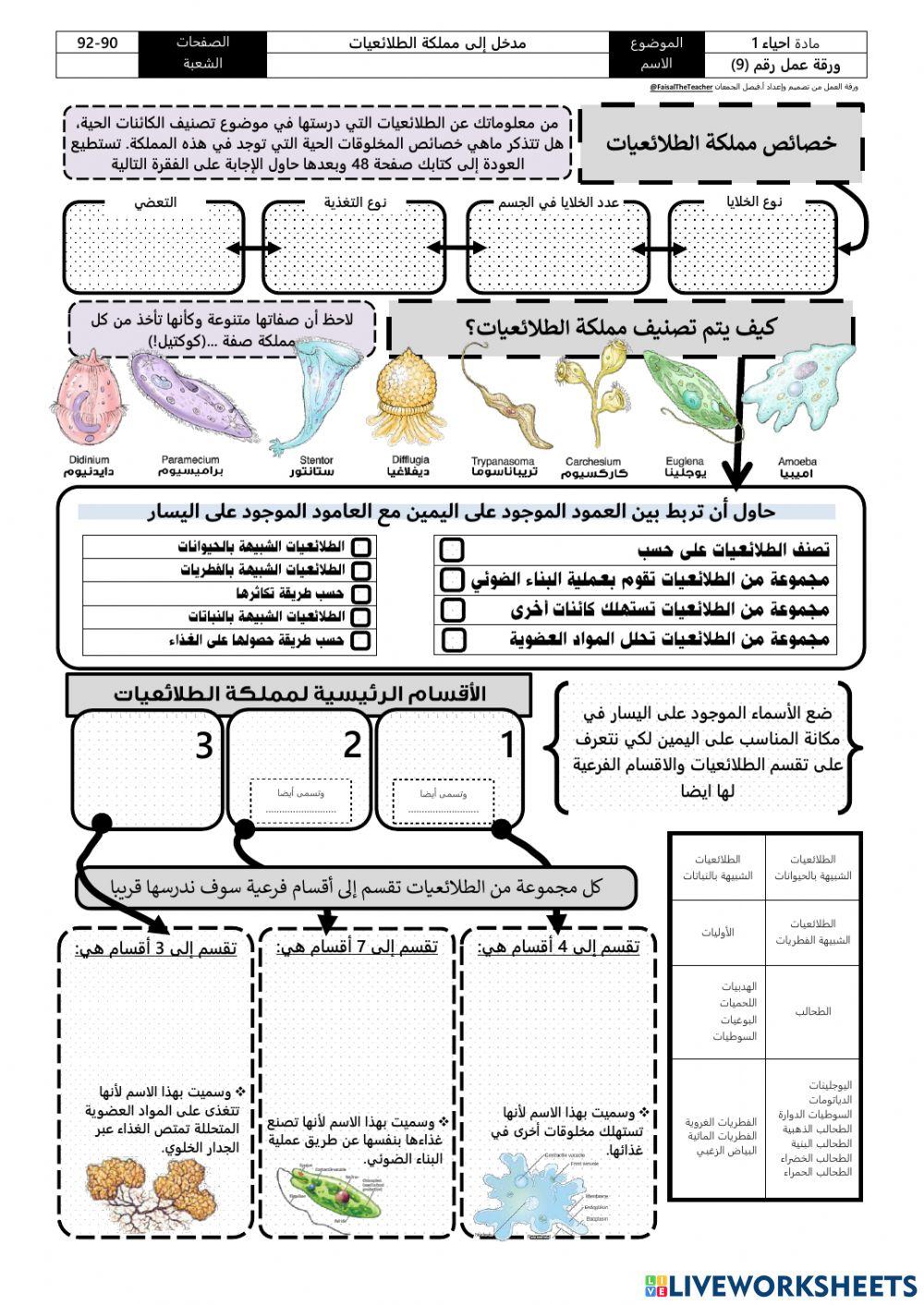 مدخل إلى مملكة الطلائعيات