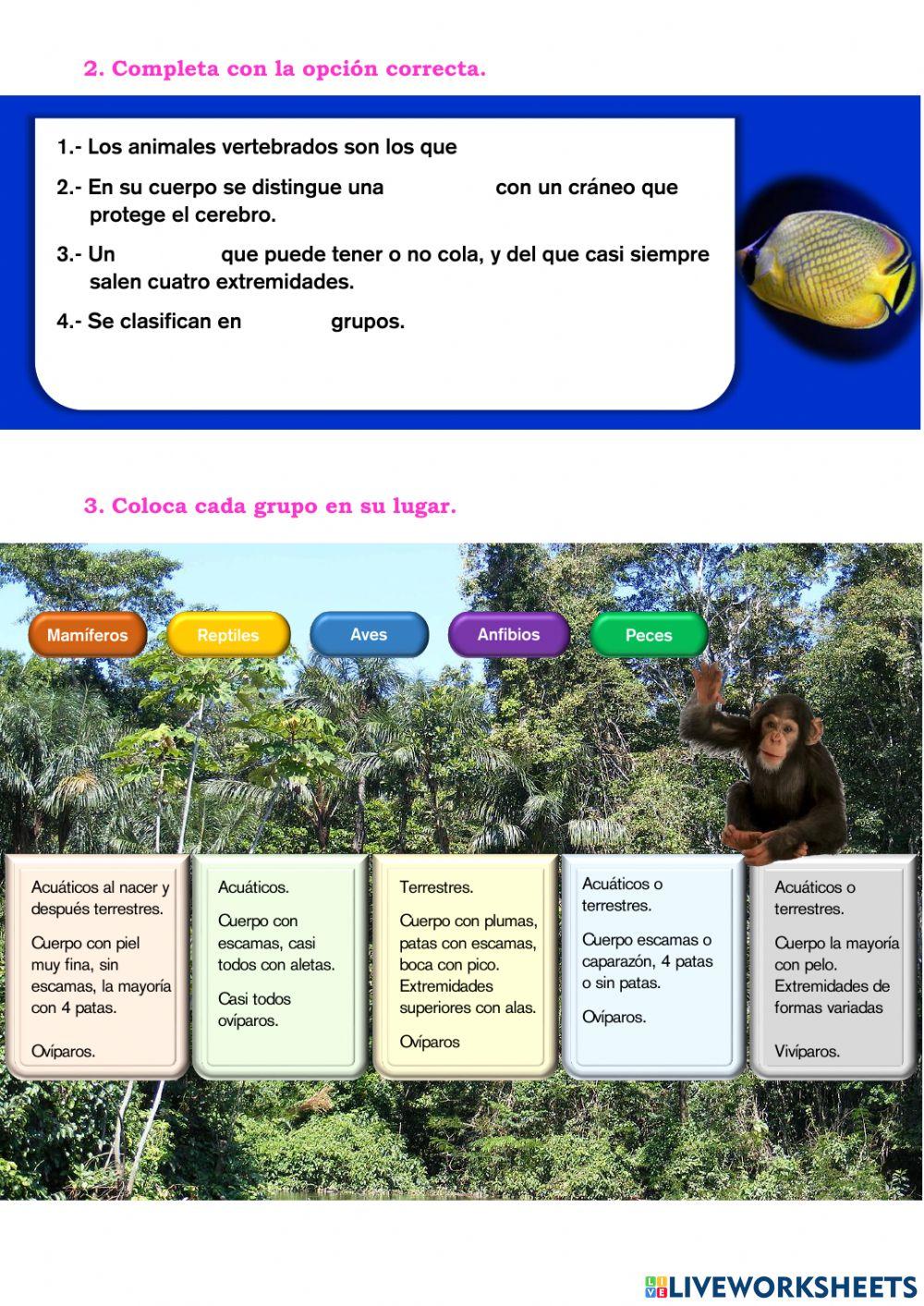 Los animales vertebrtados