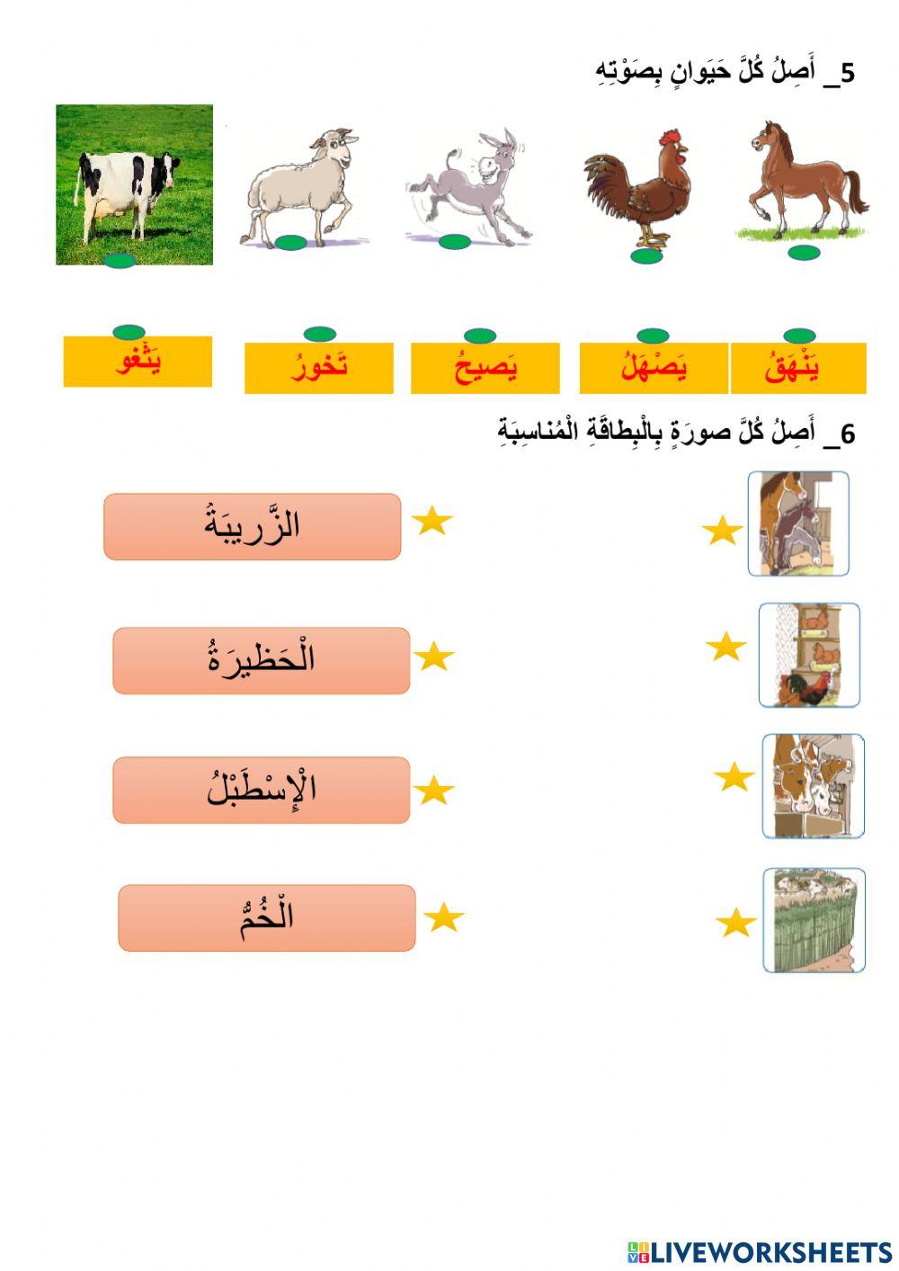 حكاية دوار الكرمة