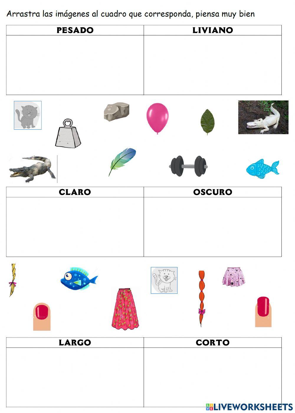 Actividad opuestos parte 2