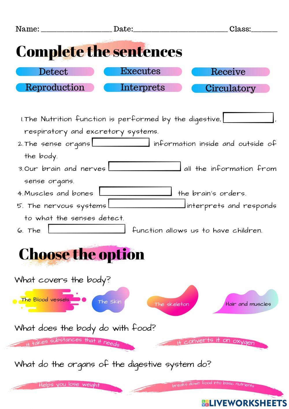 Worksheet our body