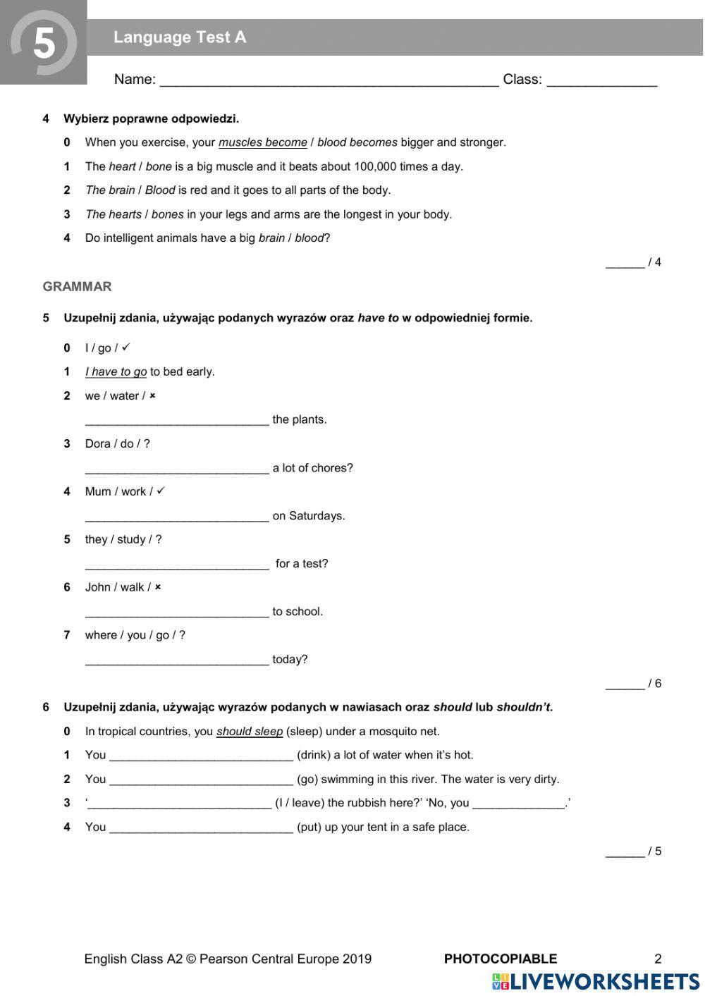 Klasa VI test dział 5 English Class