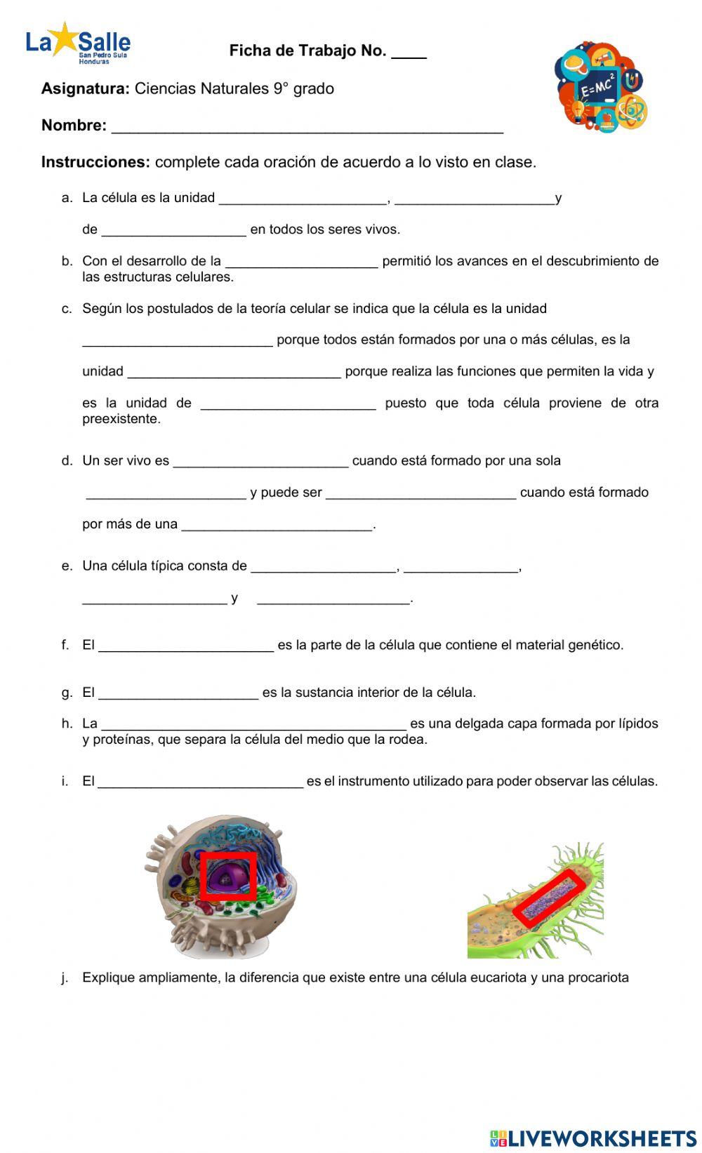 Célula procariota y eucariota