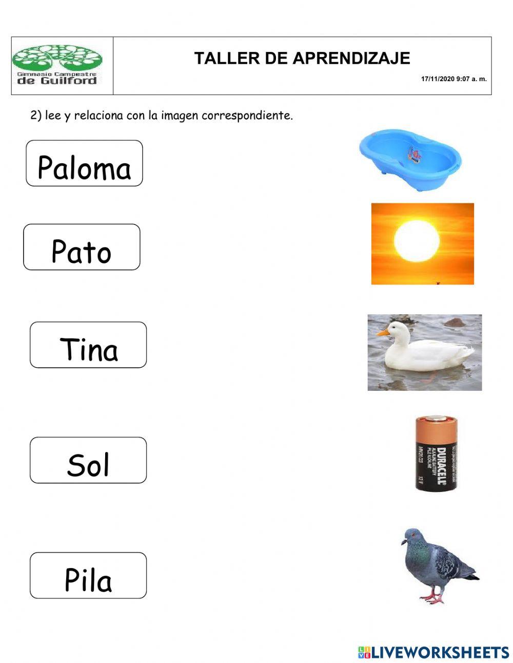 Comprensión de lectura