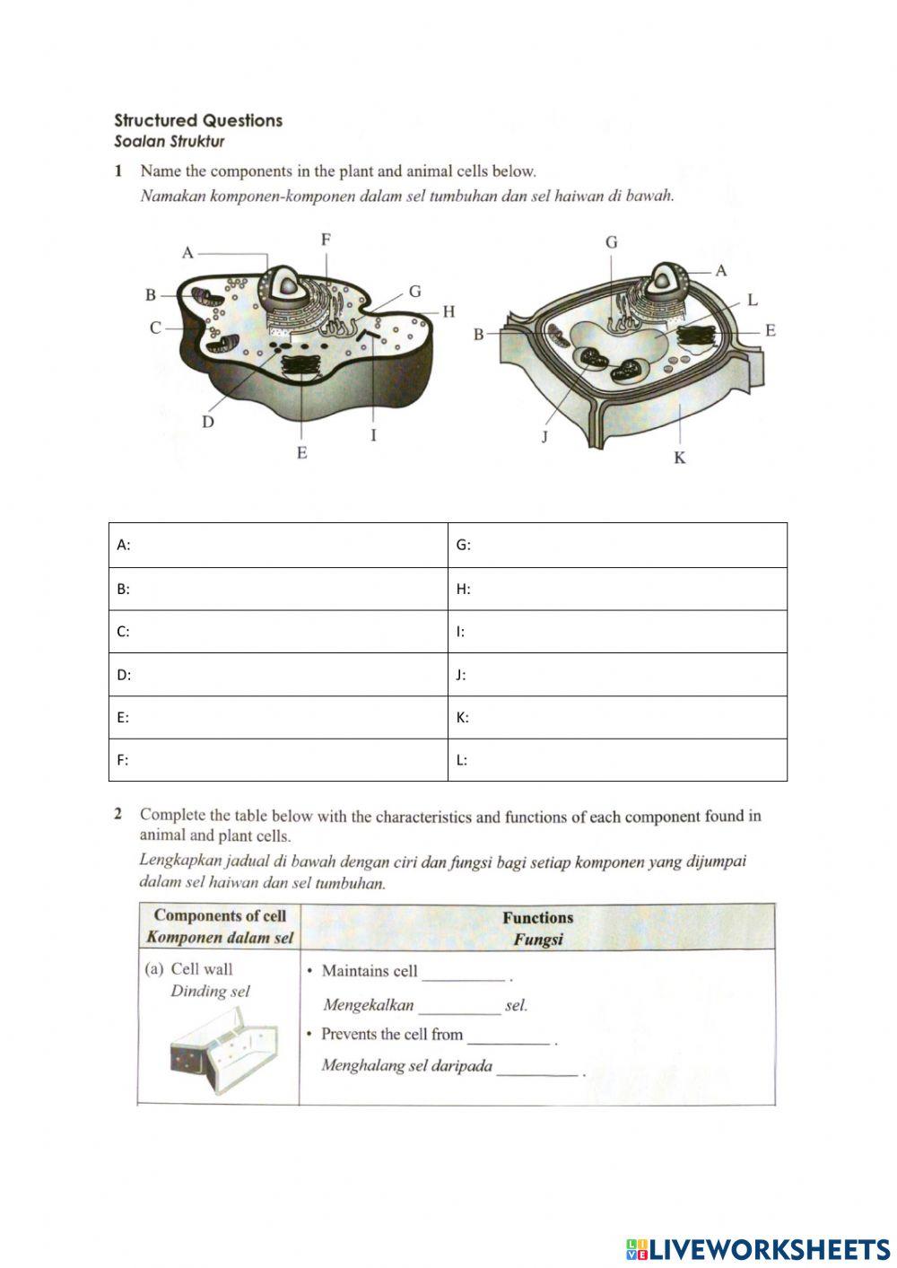 Cell structure and functions