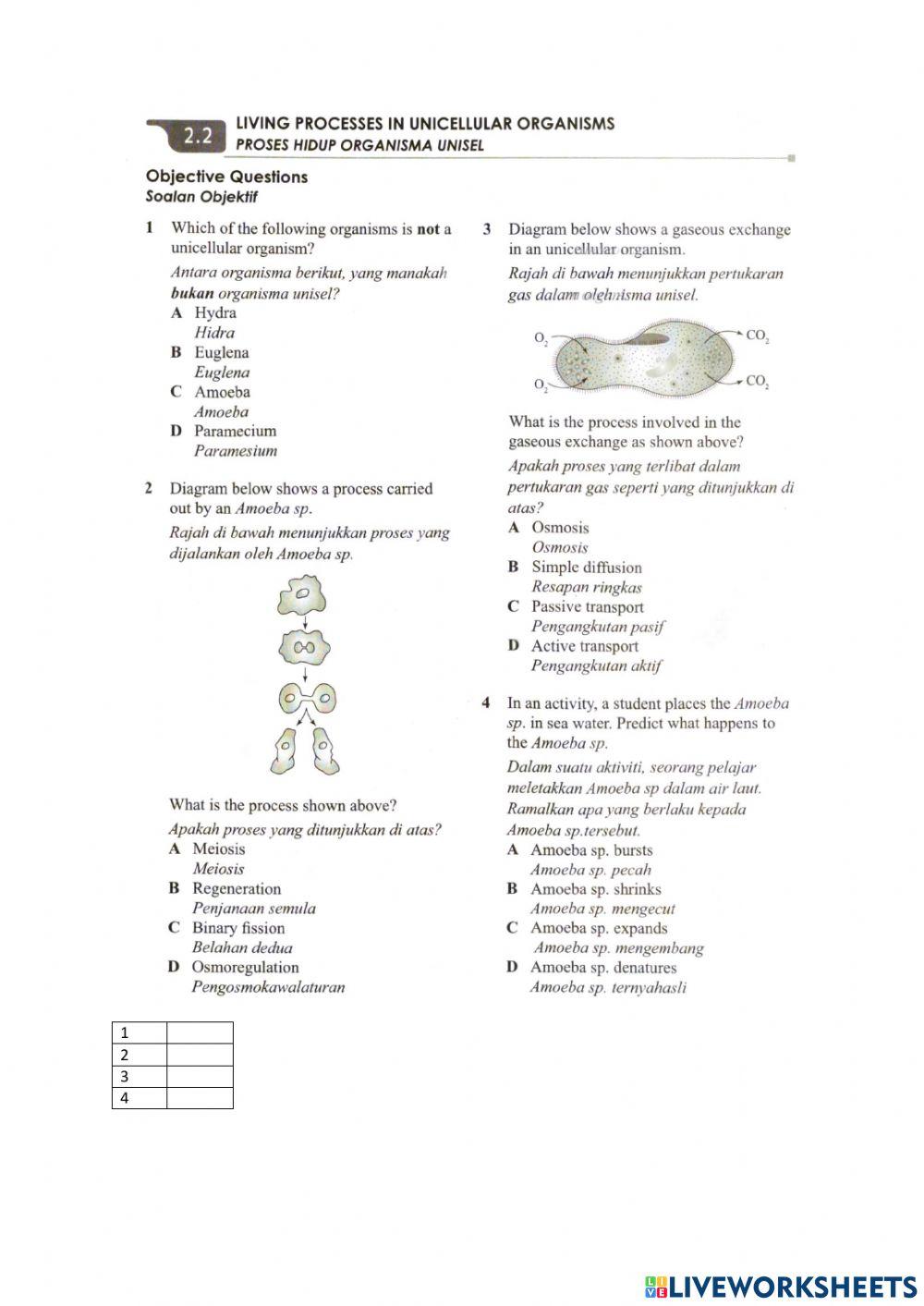 Cell structure and functions