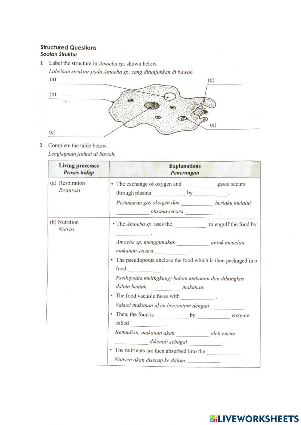 Cell structure and functions