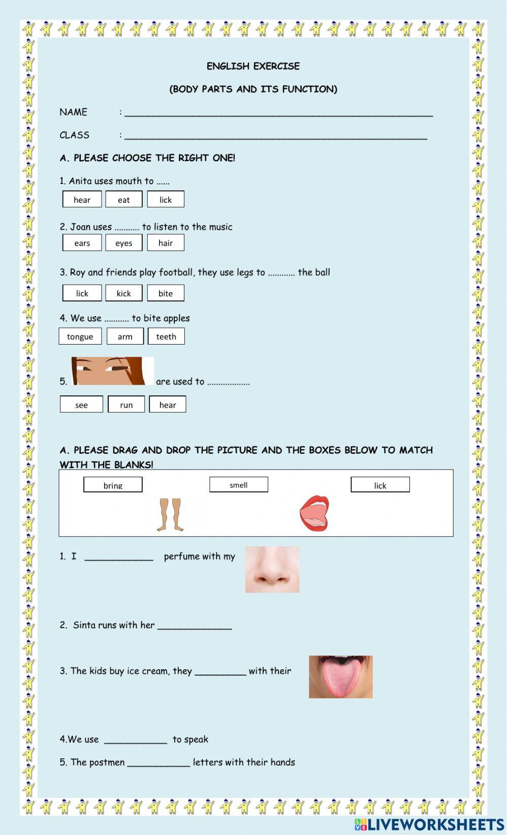 Body parts and its function