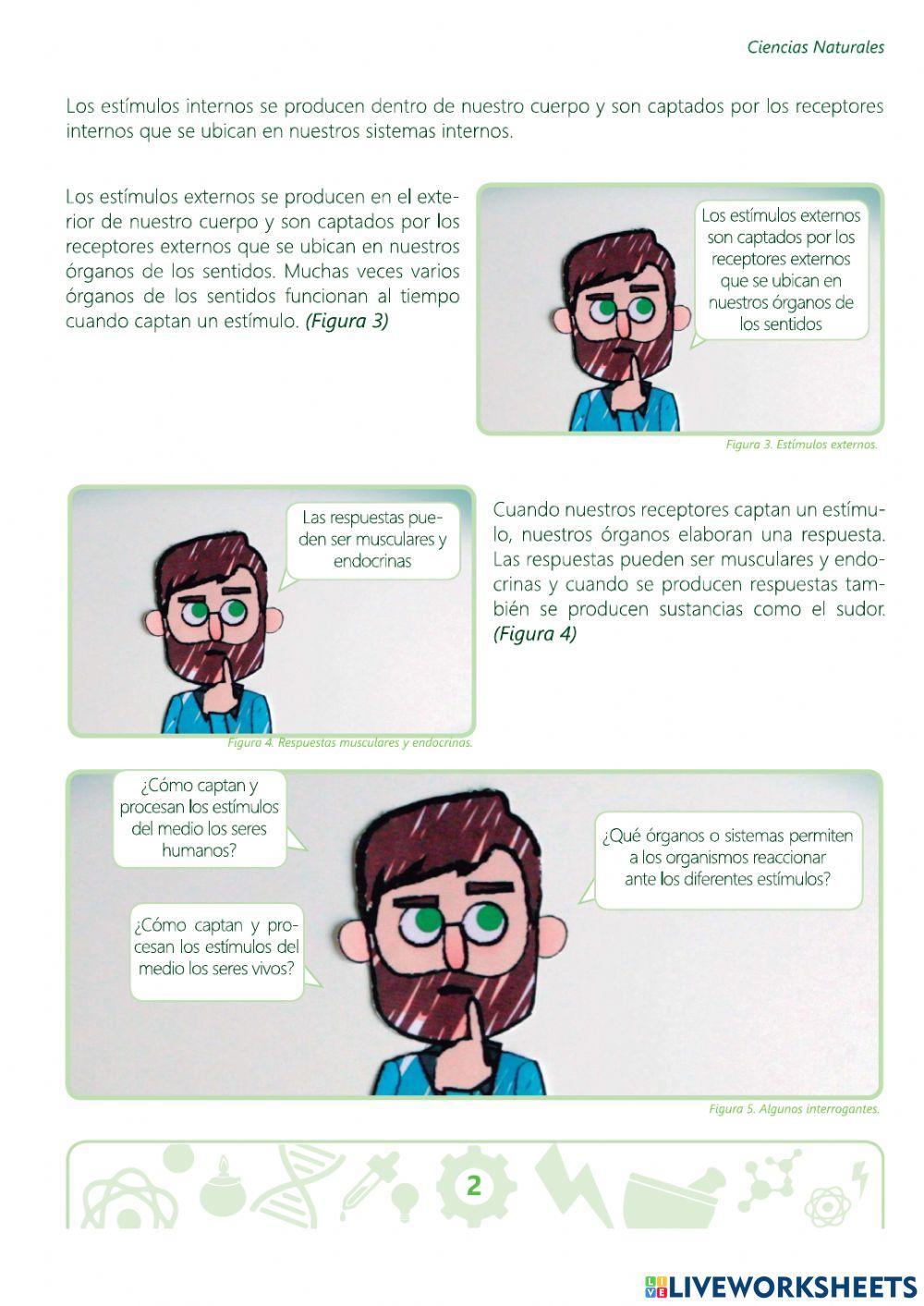 Estímulos y respuestas