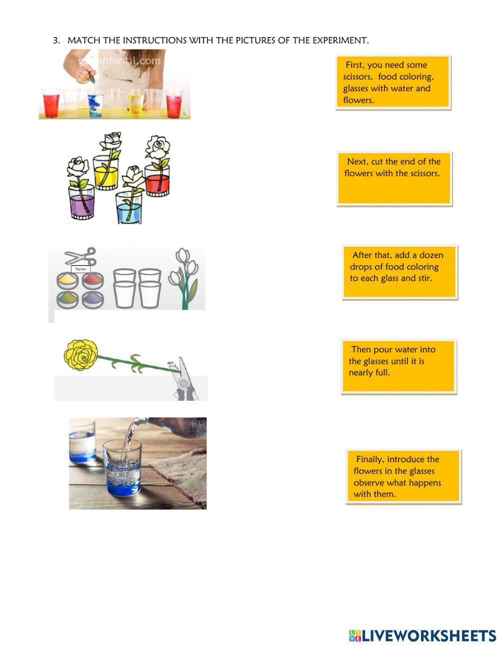 Following instructions