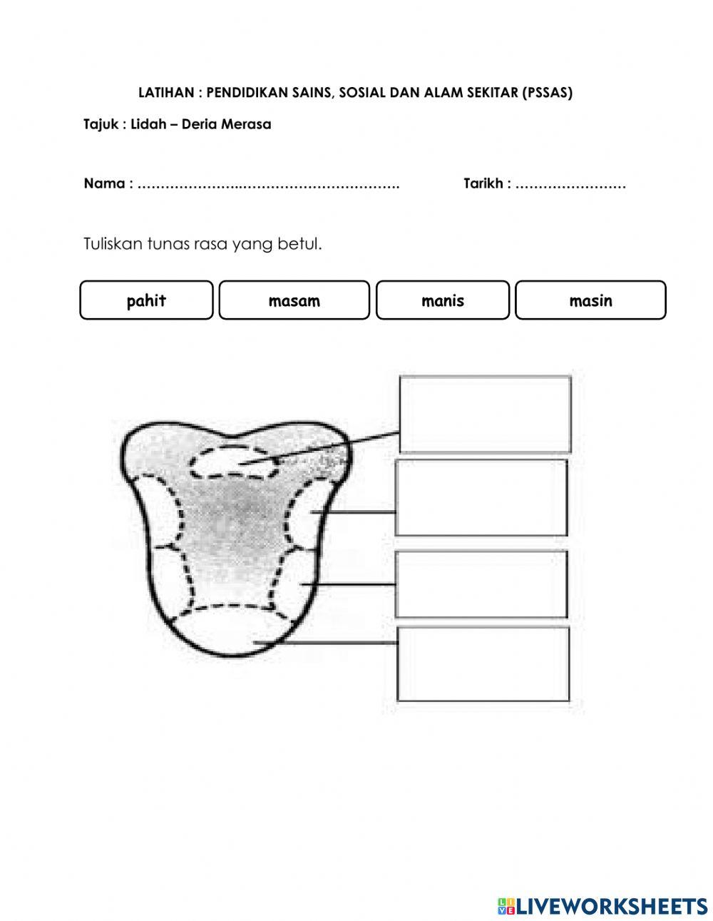 Deria Merasa worksheet | Live Worksheets