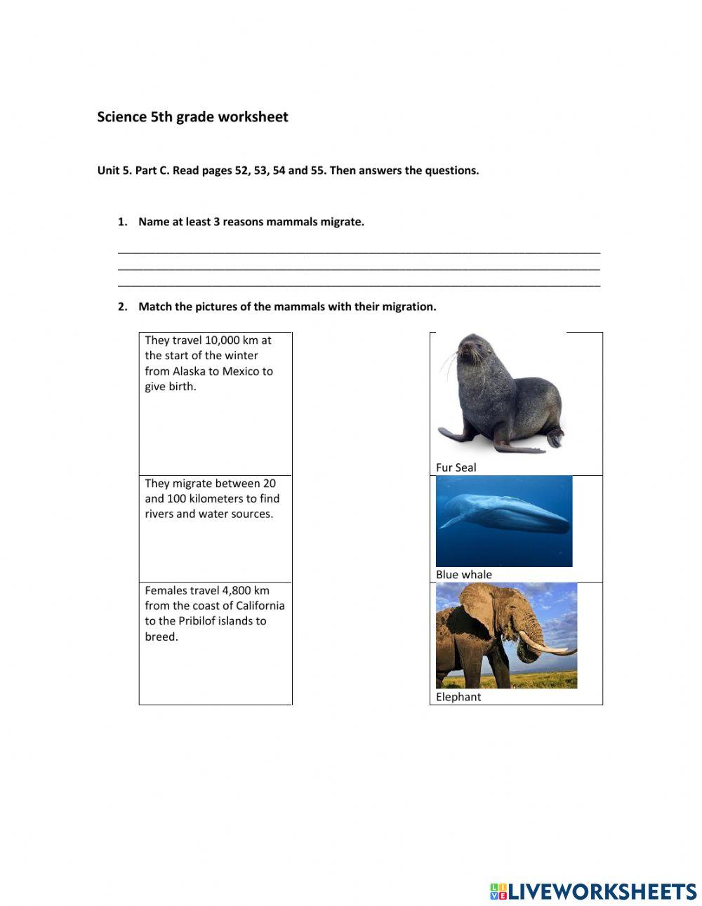 Mammals habits worksheet