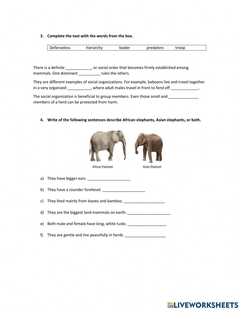 Mammals habits worksheet