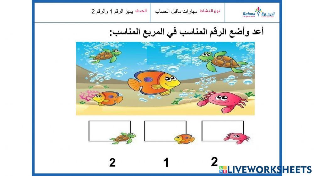 مهارات ماقبل الحساب2
