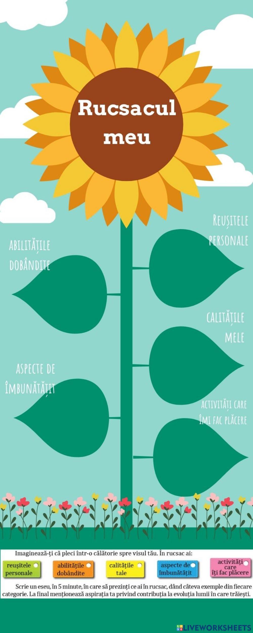 Călătorie spre vistul meu