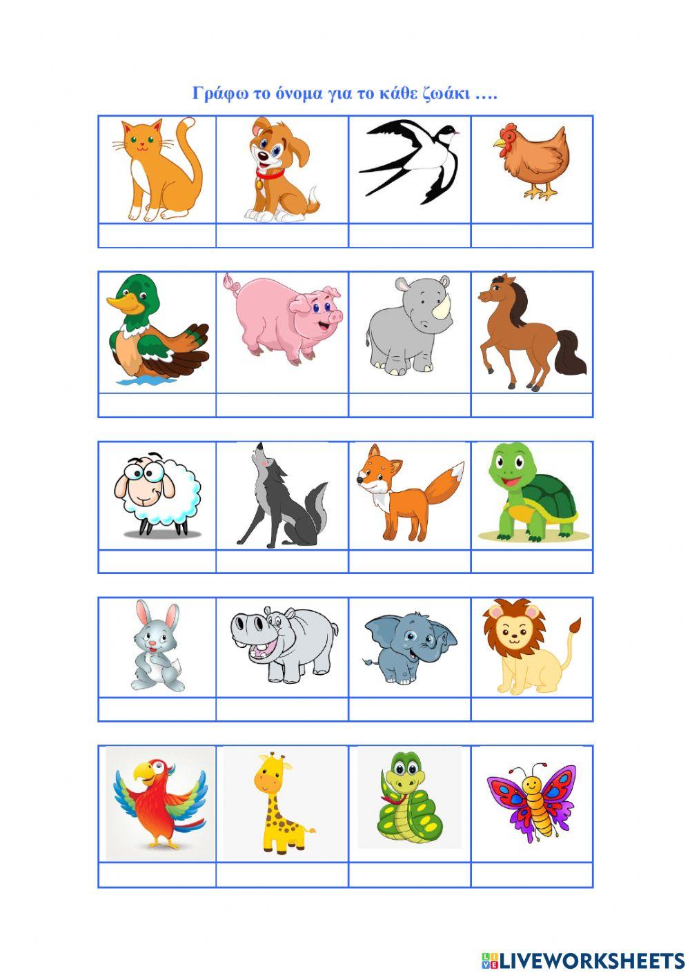 Γράφω το όνομα για κάθε ζωάκι