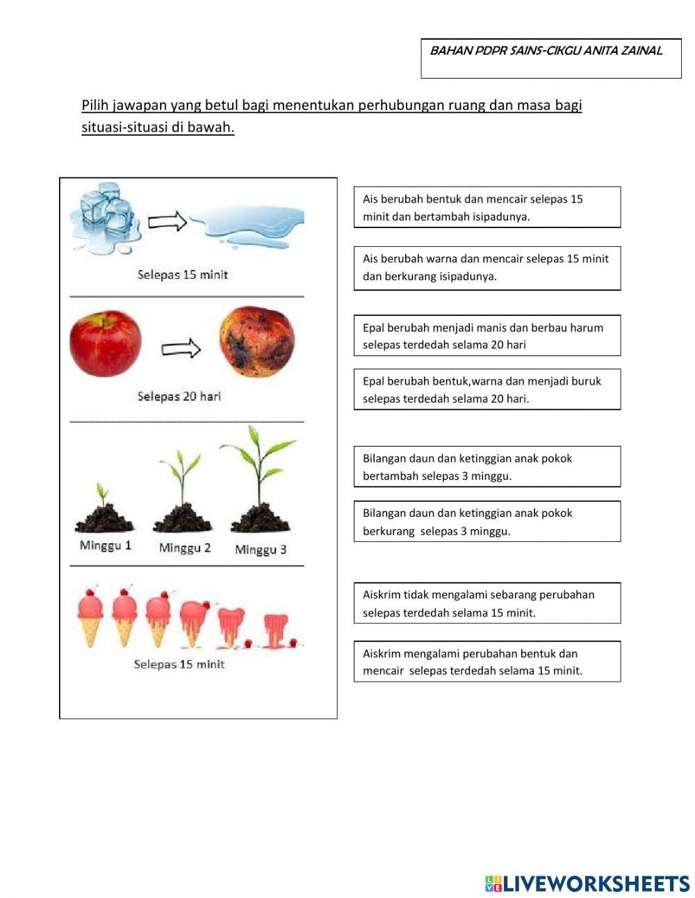 Sains-KEMAHIRAN PROSES SAINS