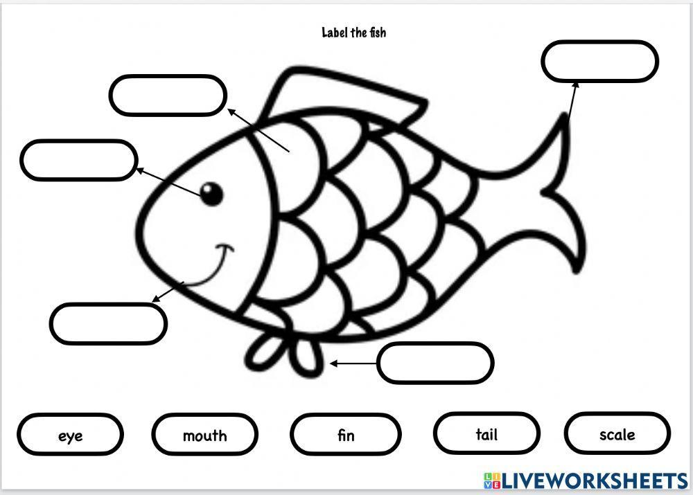 Label the fish