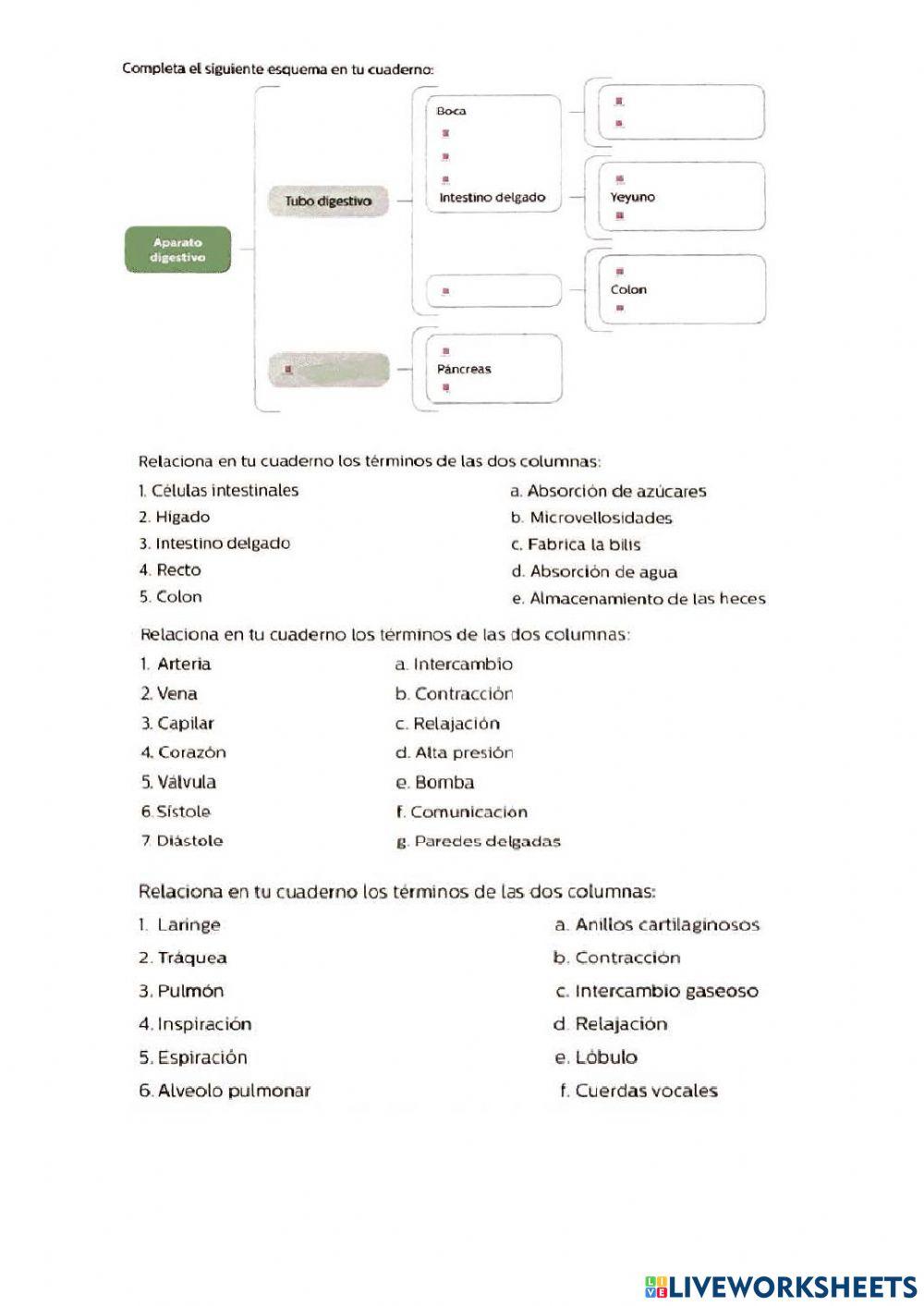 Examen biología