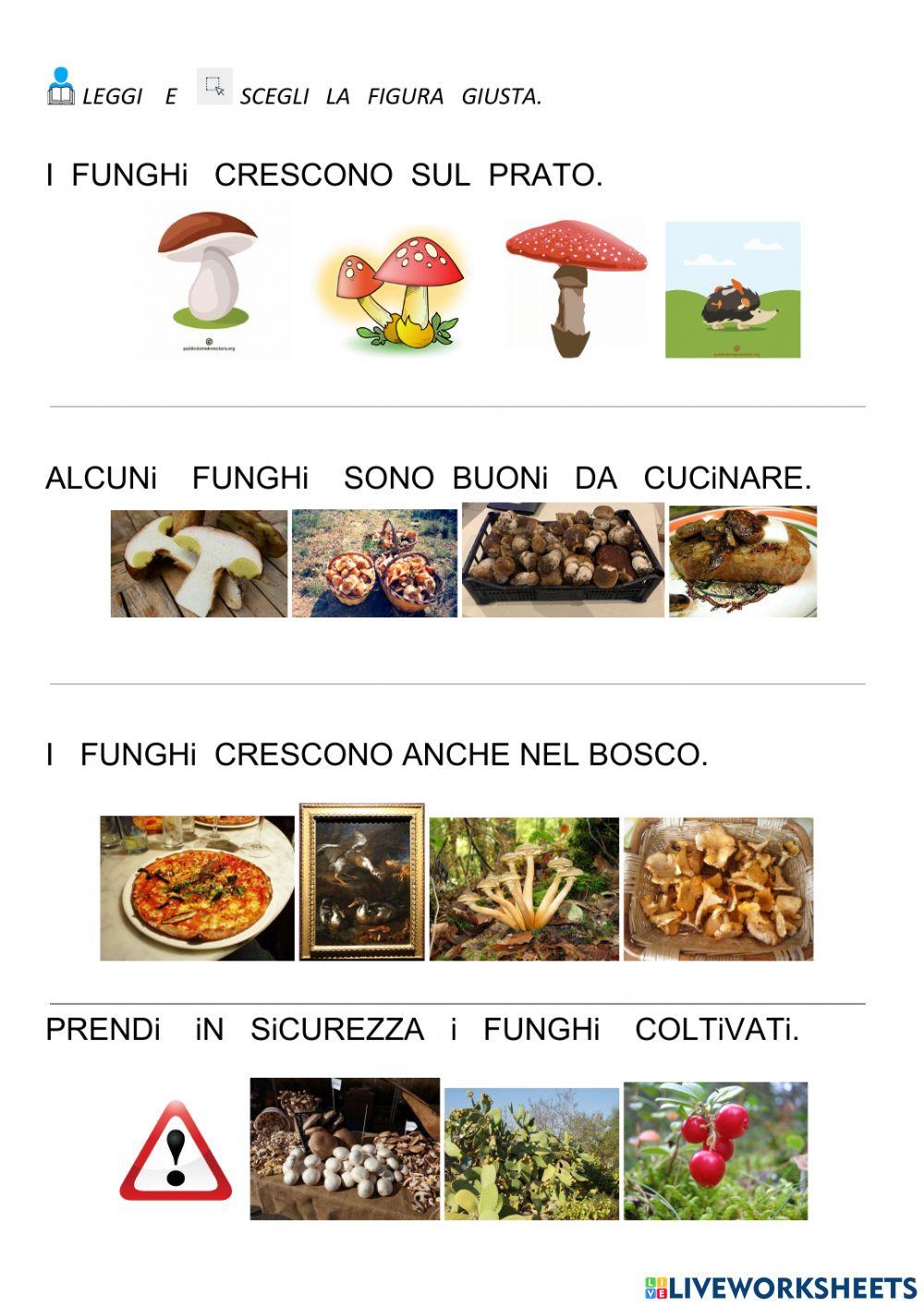 I  funghi
