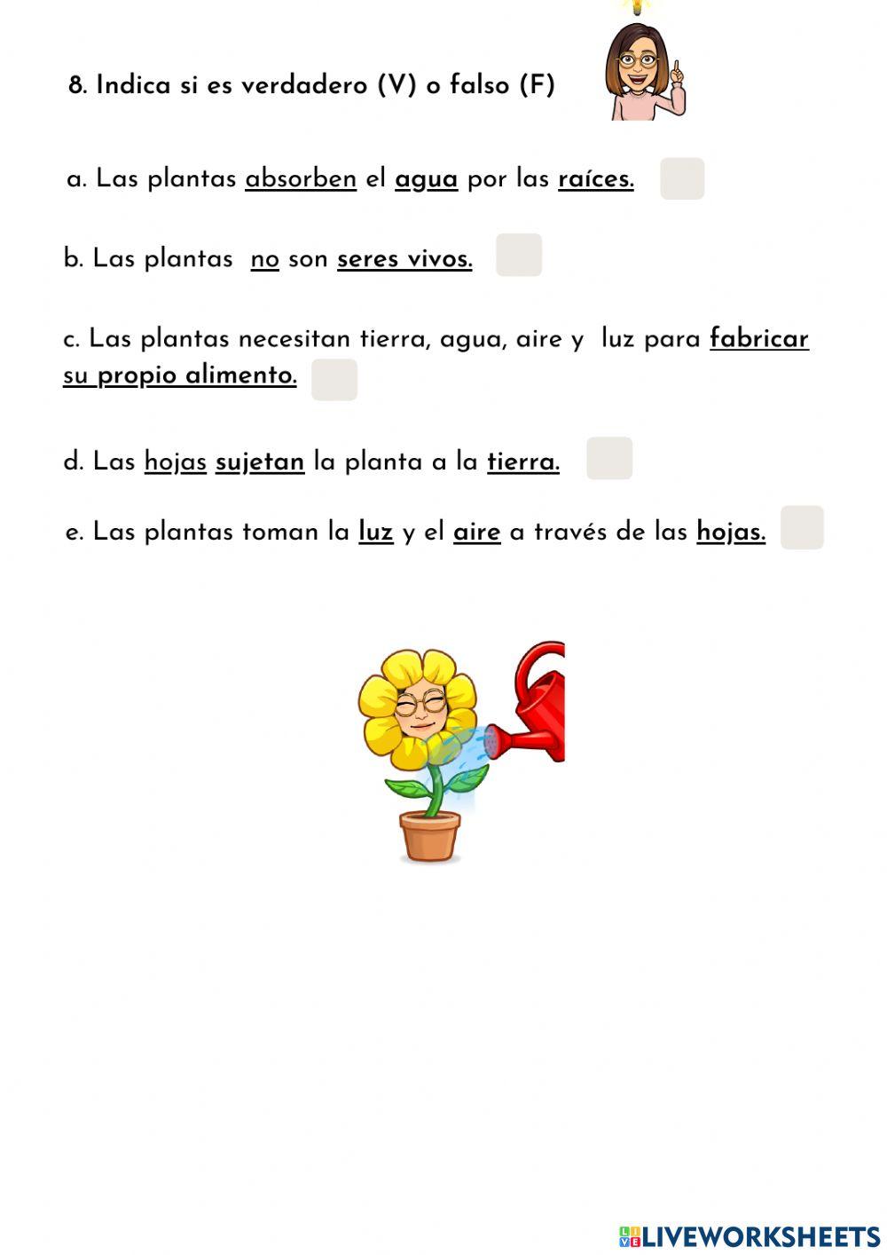 Las plantas