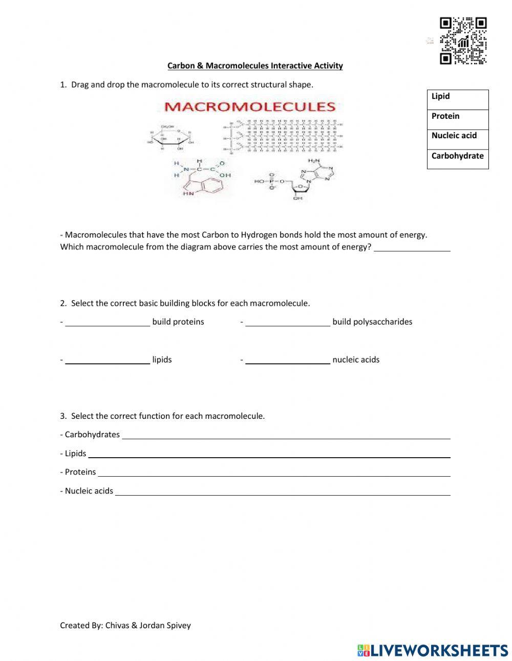 Macromolecules interactive activity with video and quiz