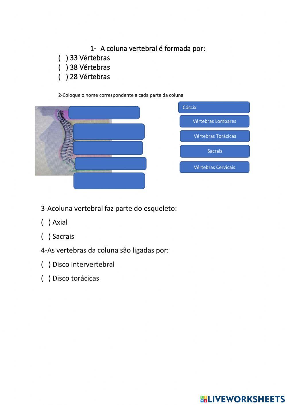 3ª Atividade do 1° bimestre – POSTURA E COLUNA